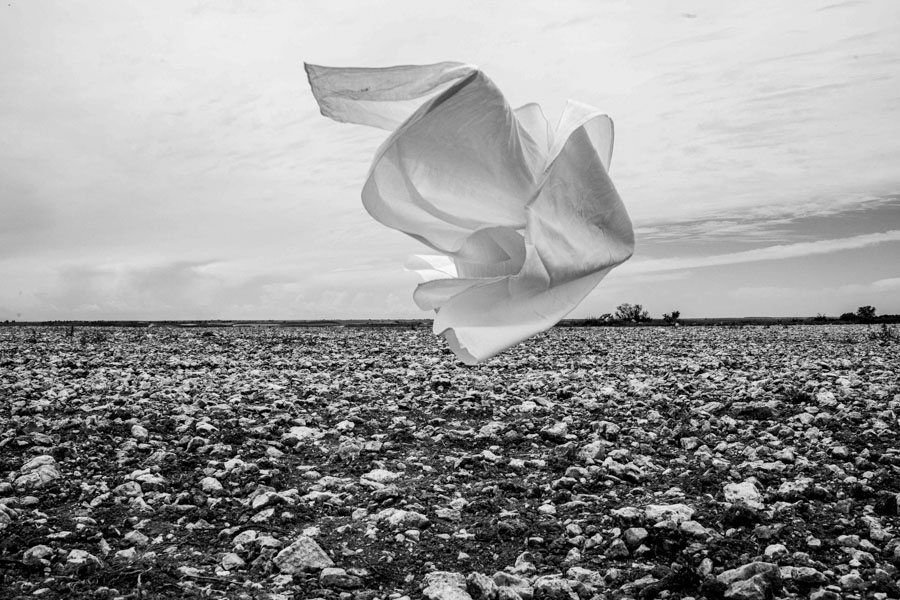 © Luana Fischer