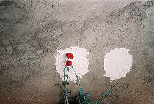 © Eva G. Herrero - Rito de Paso