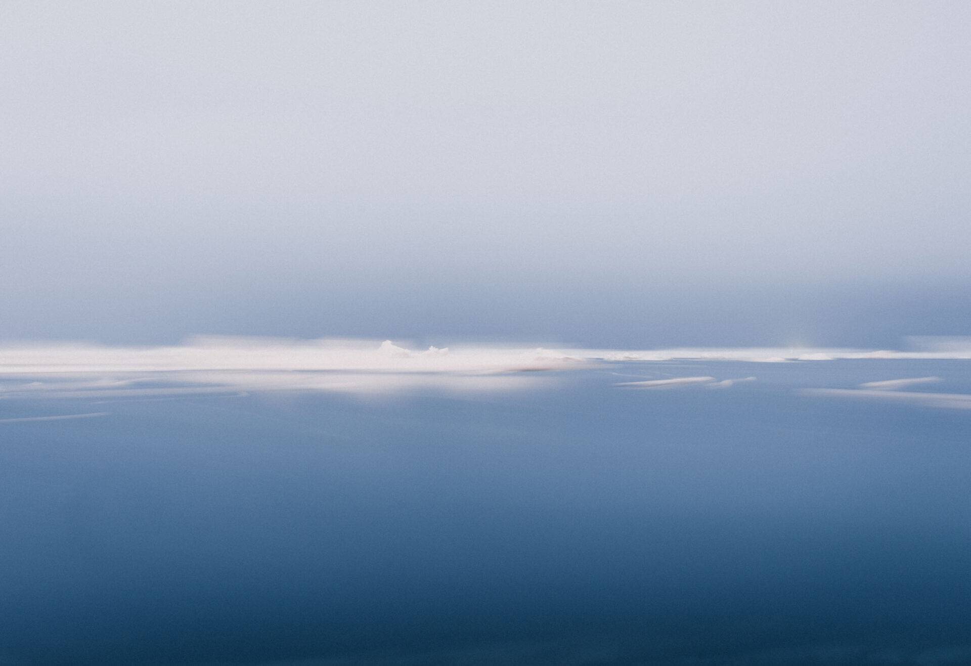 exposición Los hijos del ciervo