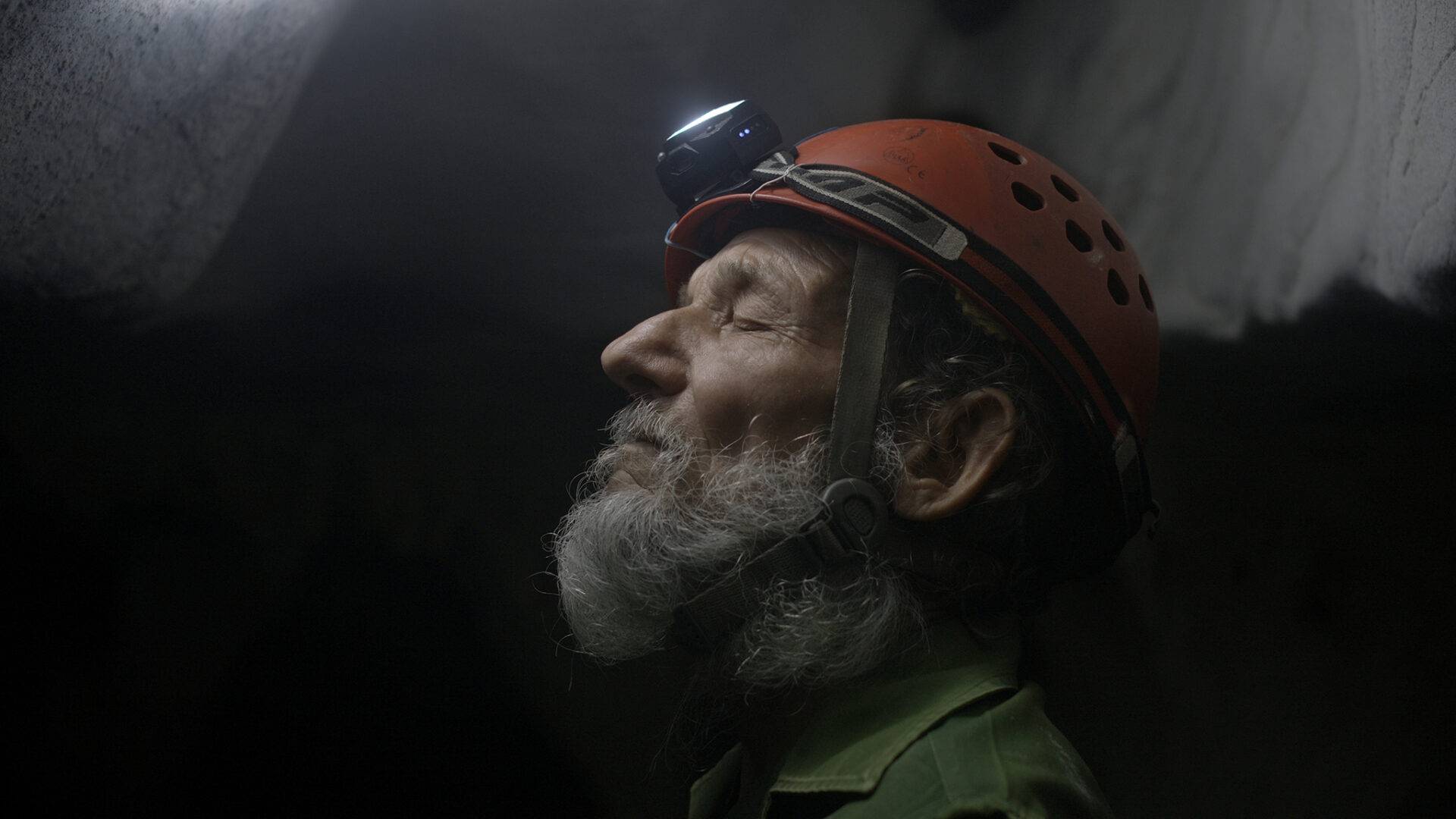 exposición Los hijos del ciervo