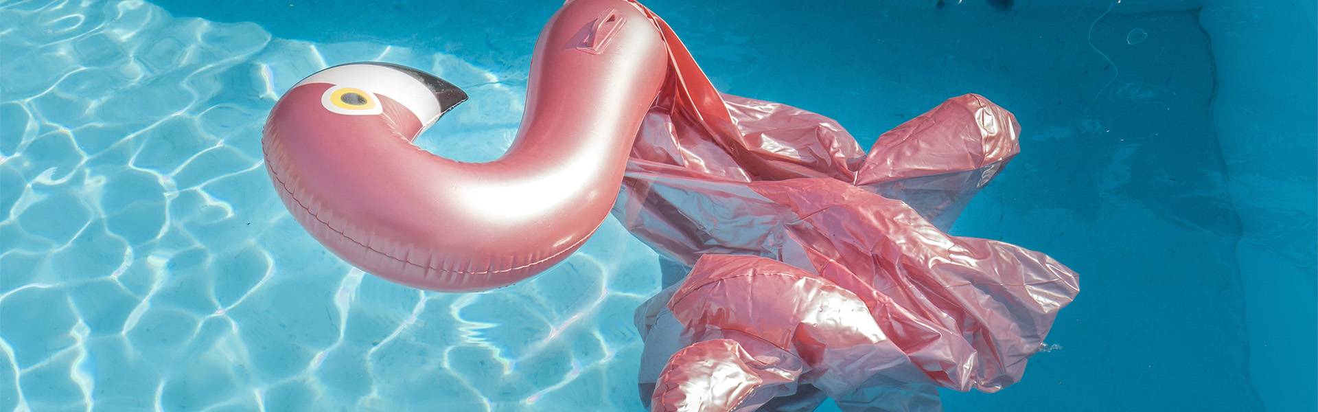 exposición Los hijos del ciervo